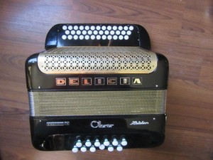 Delicia Accordion | eBay