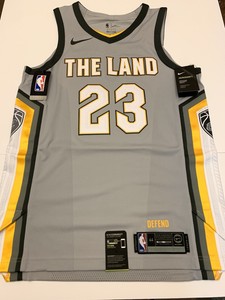 lebron james land of basketball
