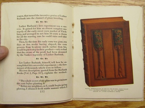 Vintage Luther Burbank Society Member Invitation Pamphlet Booklet California - Picture 4 of 9