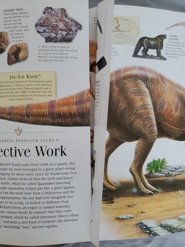 Discoveries: Dinosaurs ed Angela Milner - Hardcover - Imagen 8 de 8