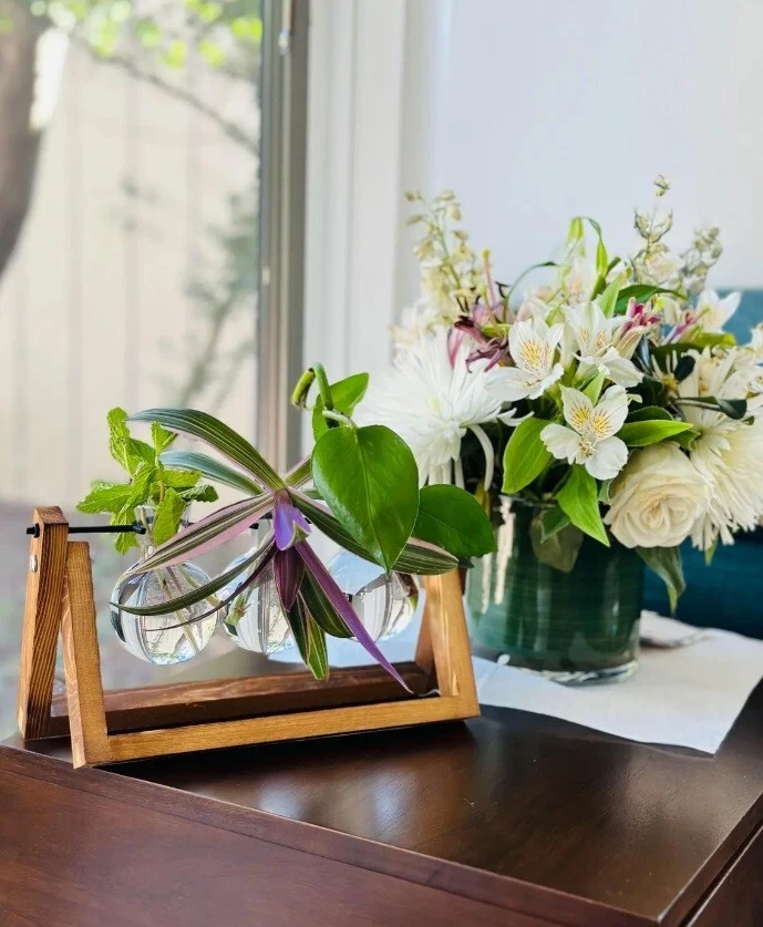 Estación de propagación de plantas soporte para jarrón de vidrio interior | Planta de tubo de ensayo hidropónico Foto 3 de 4