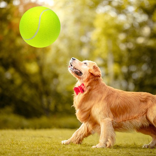9 5 ''übergroße Riesige Tennisbälle Aufblasbarer Tennisball Mit Pumpe Hundes Pie - Bild 3 von 24