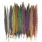 Natural Dyeing Colour 25-35 CM/10-14 Inch Pheasant Feathers for DIY Craft