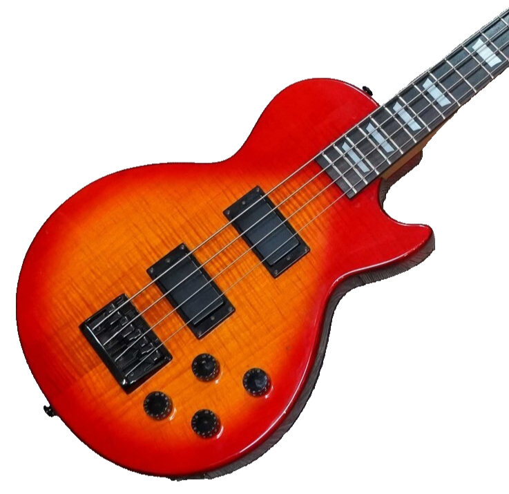 ベース Epiphone by GIBSON LesPaur BASS Epiphone Les Paul Special Bass - What To Know & Where To Buy