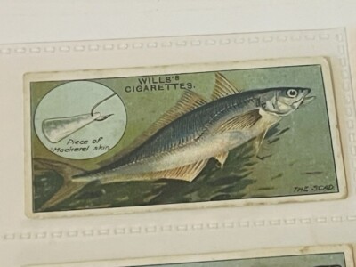 WD HO Wills Cigarettes Tobacco Trading Card 1910 Fish Bait Lure 50 Scad  mackerel