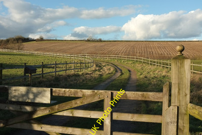 Foto 6x4 Spur, Stone Ridge Farm Single Hill von Hang Hill bei So c2016 gesehen