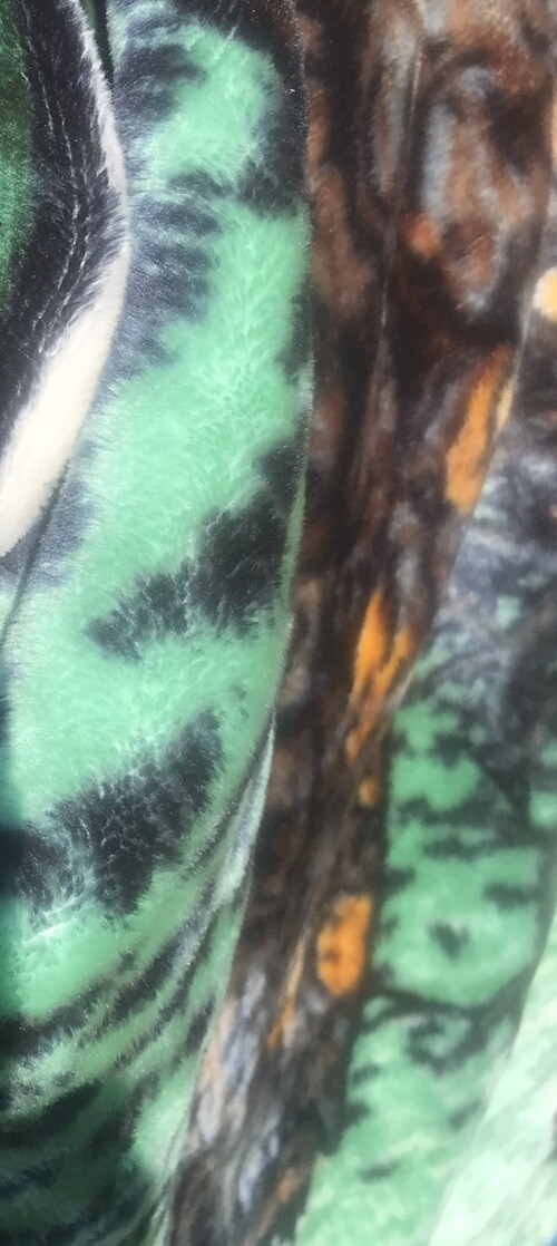 Picture 9 of 11
