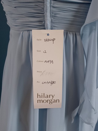PRETTY BNWT HILARY MORGAN DRESS 12 £190 BLUE FRILL OCCASION EVENING WEDDING - Picture 4 of 11