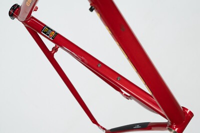 NOS LEE COUGAN ESPRIT LE EASTON ULTRA LITE ALLOY FRAME VINTAGE