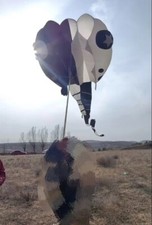 new 3D 13Sqm 1 Line Stunt Parafoil Wizard Tadpole POWER Sport Kite outdoor toy