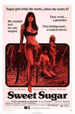 Sweet Sugar Poster 01 Blechschild A4 12x8 Aluminium