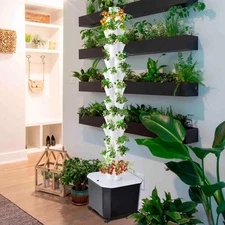 Hydroponic Growing System 60-Pod for Indoor Herbs and Vegetables