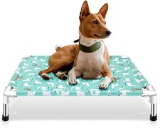 Elevated Dog Bed Raised Pet Cot Stainless Steel Frame Small Dogs Indoor Outdoor