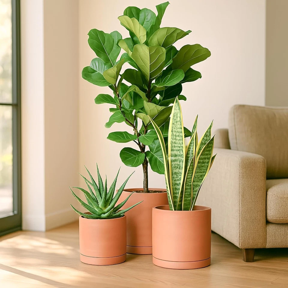 Elegant Handcrafted Terracotta Pots - Modern Cylindrical Planters for Indoor Use - Image 4 of 4