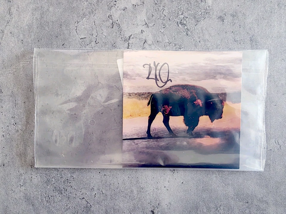 Robert Plant Saving Grace Fruit Punch LP Vinyl ✨️SIGNED Art Card SENTSAMEDAY  - Image 4 of 4