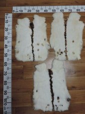 TOP XXL Rabbit Fur Rabbit Fur Rabbit Fur Breed: Checks Tri-Color