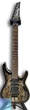 Ibanez Stratocaster Typ E-Gitarre S1070PBZ