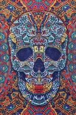 Skull Sugar Mini Tapestry Wall Hanging Decor Gift 3D Poster 30x45 Skeleton New