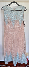 Ariella London Lace Nude & Blue Occasion Dress - UK 16 - New With Tag - RRP £175