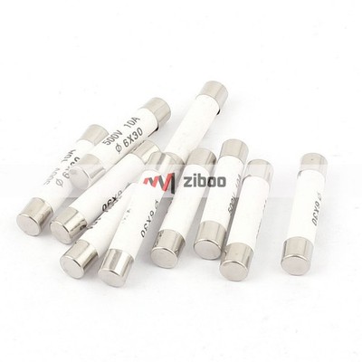 10 Pcs 500V 10A Low Breaking Capacity 6x30mmCartridge Ceramic Fuses SilverTone  