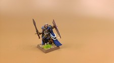 Warhammer Painted High Elf Althran 15