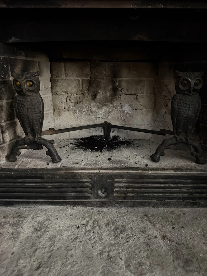 Antique Cast Iron Owl Andirons W/ Glass Amber Eyes Fireplace Andirons 13" Tall - Image 4 of 4