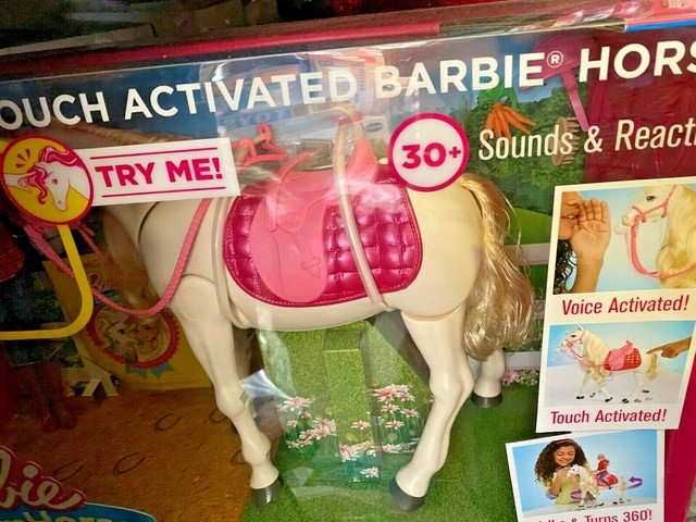 barbie ftf02 dreamhorse doll and horse