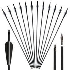 12Pcs 30" Archery Fiberglass Arrows Spine 500 for Recurve/Compound Bow / Quiver
