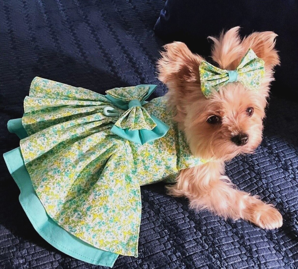 green emerald velvet dress Cutebone St.Patrick'S Day Dog Green Dress Velvet For Small Dogs Girl P –  Petocart main image 1