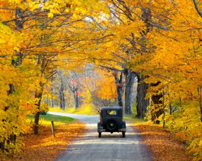 Heading Down the Road, Orah Moore, Art Print Poster 11'' x 14''   3520