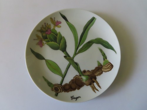 5 Shafford Vintage 7 1/2" Herb Plates - Mint - Picture 5 of 9