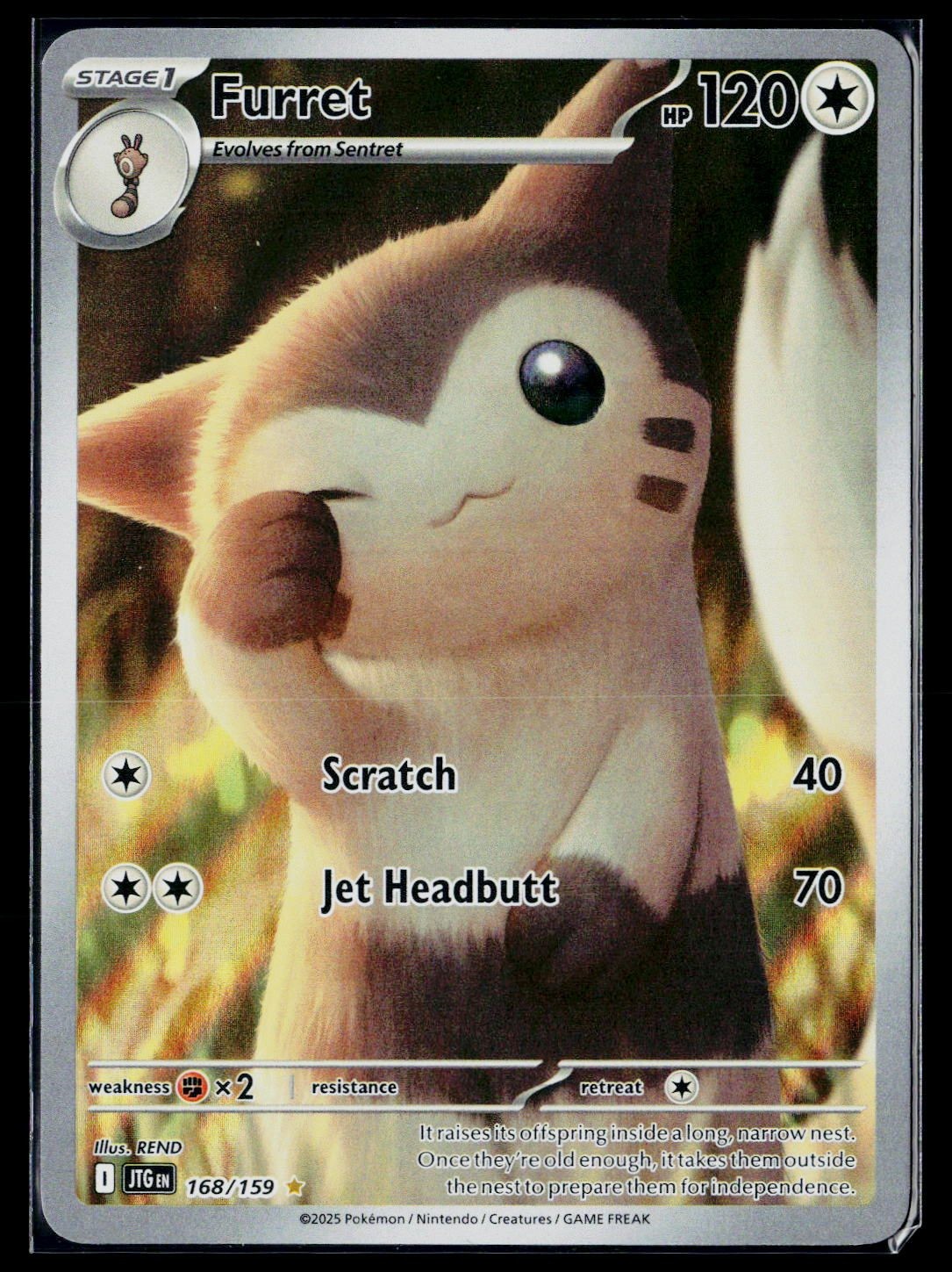 Furret Holofoil [JTG - 168/159]NM