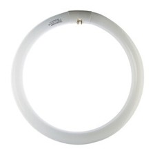 CIRCOLINA 32W G10Q 2300LM 4200K- 12,0 pz