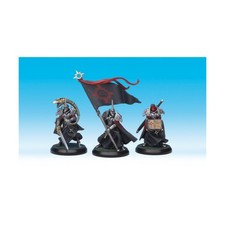 Rackham Confrontation 2nd Ed Praetorian Guards Attachment Box EX/NM