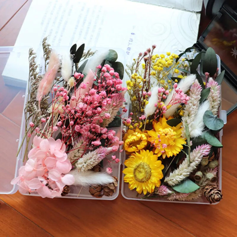 1Box Real Dried Flower For Aromatherapy Candle Epoxy Resin Jewelry