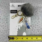 Foto 3 di 6