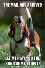 Funny Beagle  refrigerator magnet 3 1/2 x 4  1/2  "