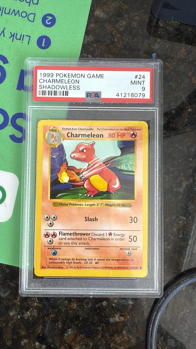 Charmeleon 1st edition（shadow less PSA 10 Gem Mint Charmeleon #24 Base Set 1st Edition