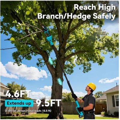 Complete Kit: Chainsaw, Extension Pole, Batteries