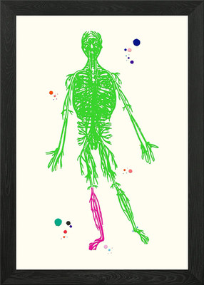 Gerahmtes Wandbild Poster Leinwanddruck Bild Menschliches Kreislaufsystem