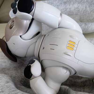 Sony AIBO ERS-1000 Entertainment Robot Dog Ivory White working