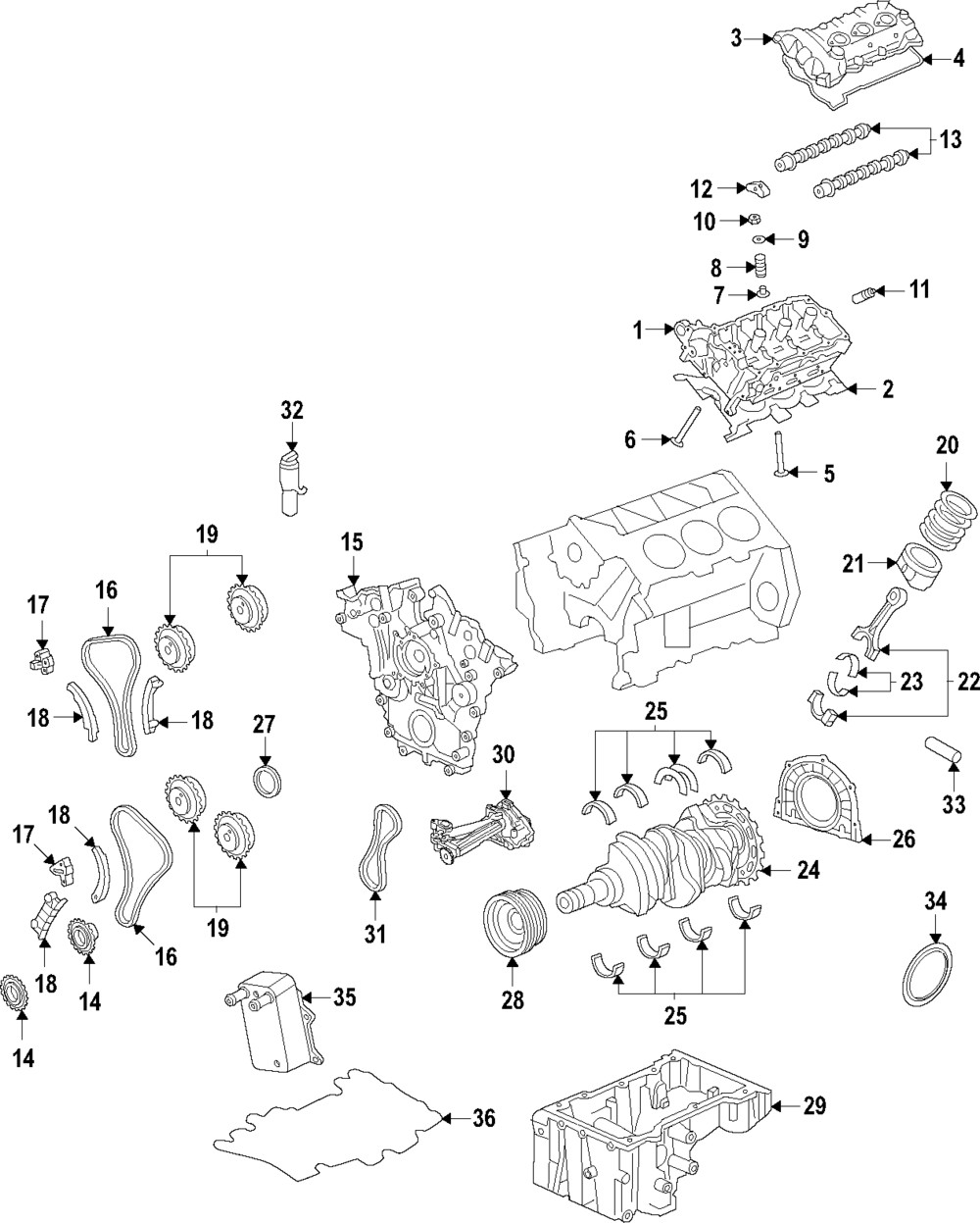 Engranaje de árbol de levas para Ford 2019-2024 (N/P L1MZ-6C525-C)