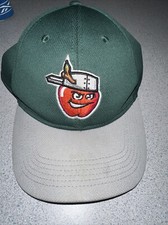 Fort Wayne TinCaps MiLB OC Sports Strapback Adjustable Baseball Hat Cap EUC