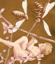 1880s Fantasy Holiday Card Fairy Playing Flut...