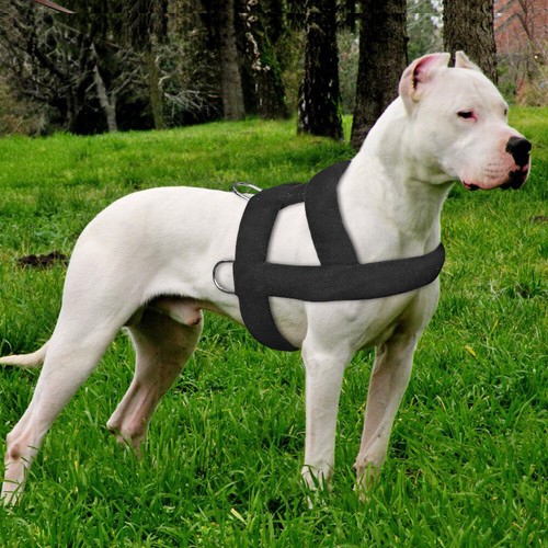 Dog Weight Pulling Harness for Pitbulls Training Adjustable Medium Large Vest - Picture 9 of 13