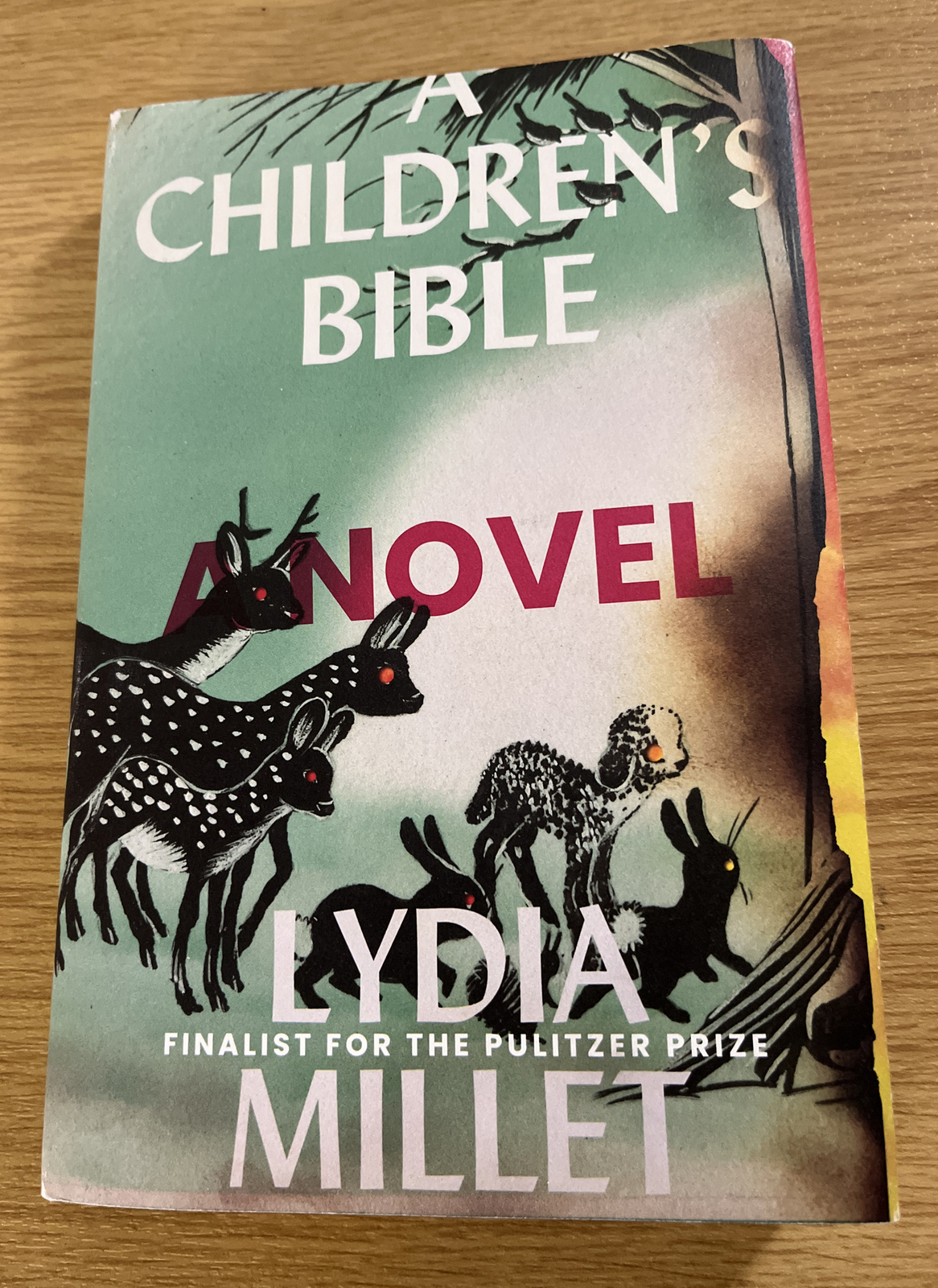 A Children's Bible: A Novel by Lydia Millet - 2020 - first edition