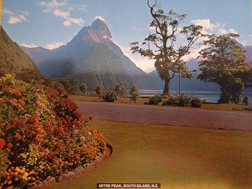 Vintage JASON Placemats Set of 6 NEW ZEALAND Landscapes Size Medium - Picture 4 of 10