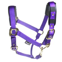 Halfter Stallhalfter Nylonhalfter Deluxe Vollblut Lila Mit Neopren Unterlegt