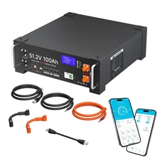5.12kWh 51.2V 100Ah LiFePO4 Lithium Battery 100A BMS for Solar Power Storage