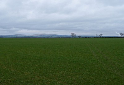 Photo A3 Flat Field near Ochiltree Crosshill/NS4724 Egger wood processi c2012